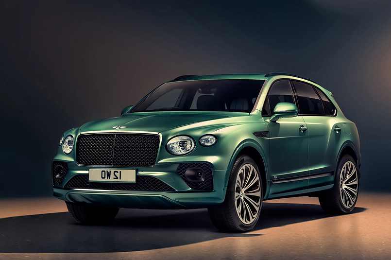 Stella Frost portfolio